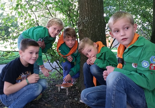 Paddenstoelen gevonden